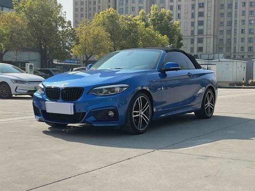 BMW 2 Series 2019