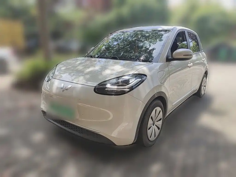 Wuling Bingo