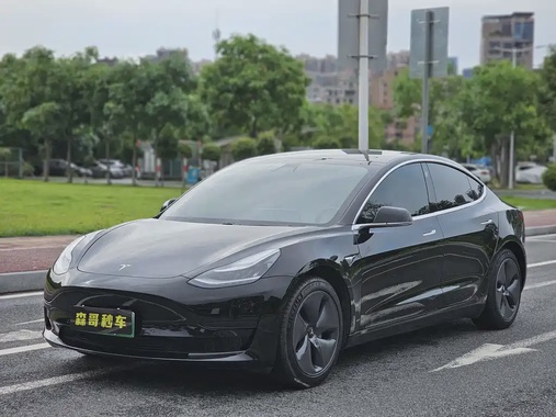 Tesla Model 3 2020