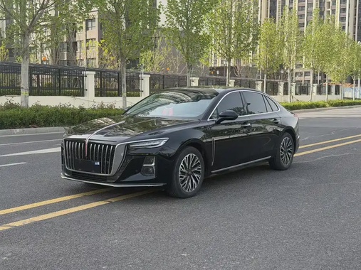 Hongqi H5 2024
