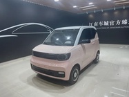 Wuling Mini 2024