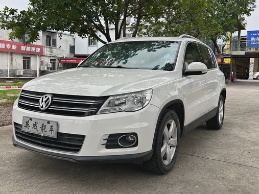 Volkswagen Tiguan 2010