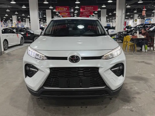 Toyota Wildlander 2021