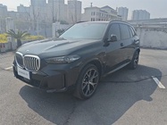 BMW X5 2025