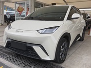 BYD Seagull 2025