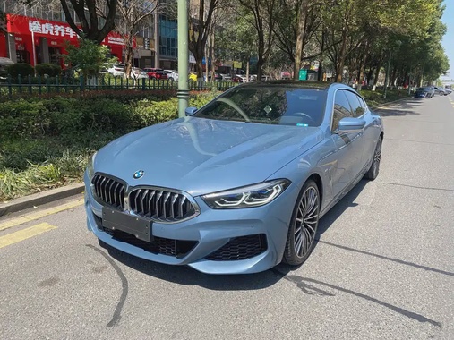 BMW 8 Series 2021