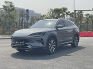 BYD PLUS 2024