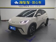 BYD Seagull 2024