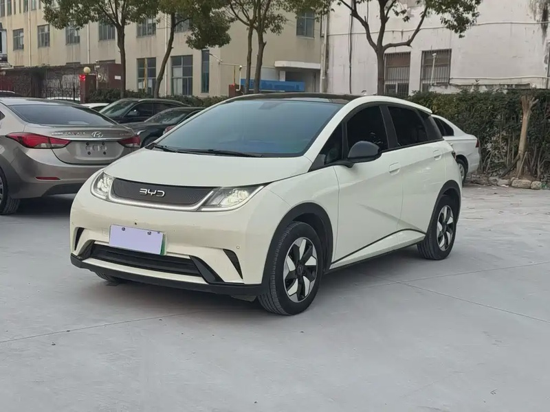 BYD Dolphin