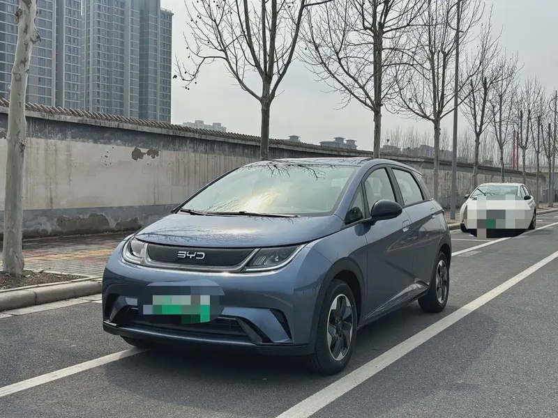 BYD Dolphin