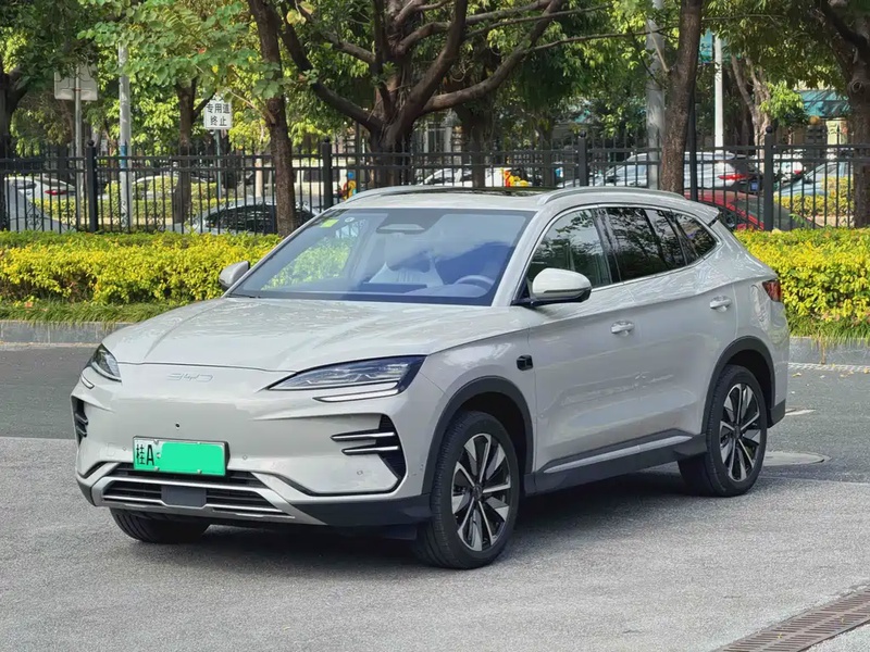 BYD PLUS