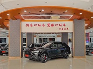 Audi Q7 2022