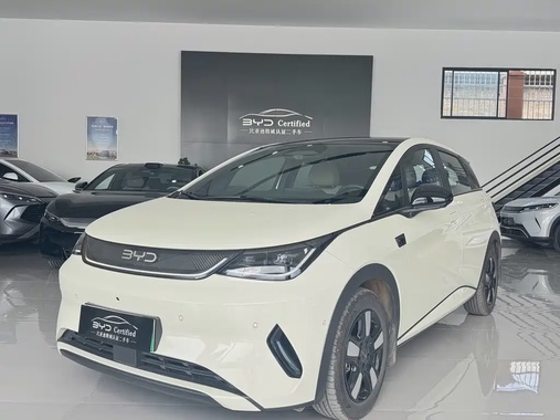 BYD Dolphin 2025