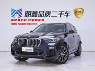 BMW X5 2021