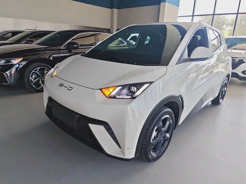 BYD Seagull 2024