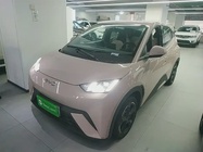BYD Seagull 2024