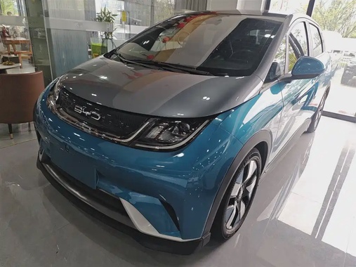 BYD Dolphin 2022