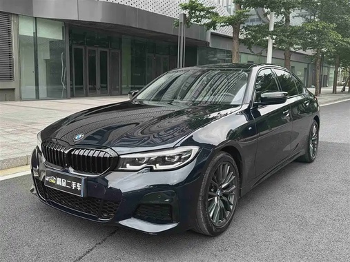 BMW 3 Series 2019