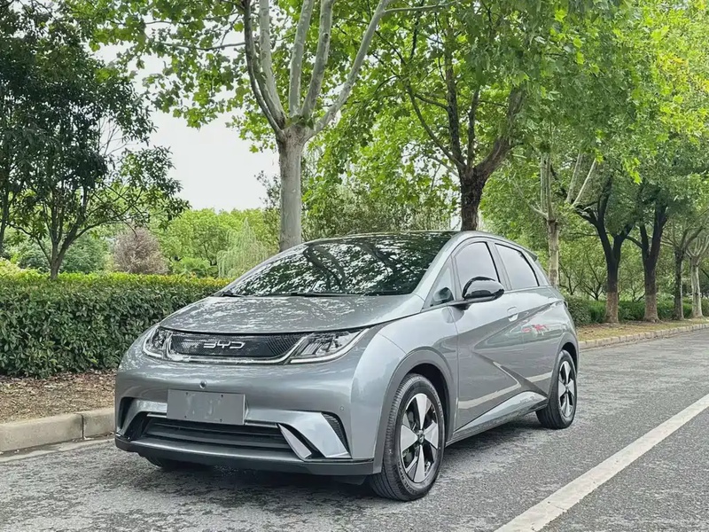 BYD Dolphin