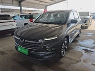 Wuling Victory 2021
