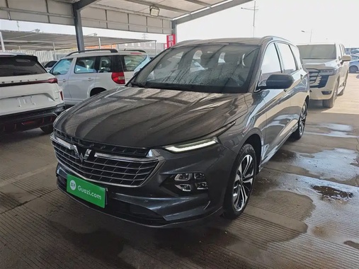 Wuling Victory 2021