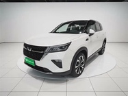 Wuling Xingchen 2021