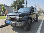 Tank 300 2023