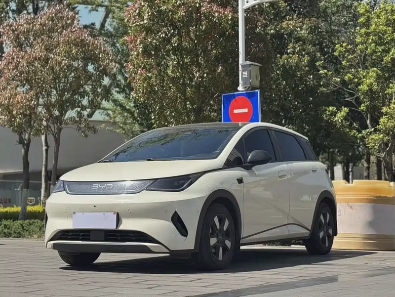 BYD Dolphin