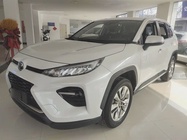 Toyota Wildlander 2021