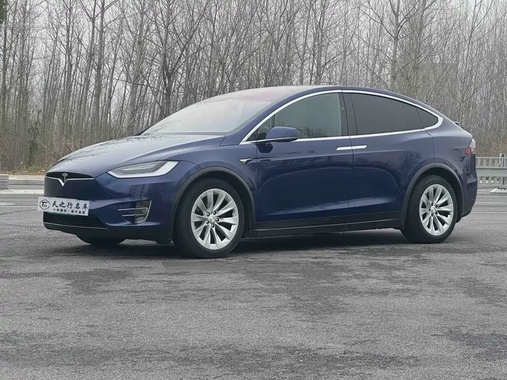 Tesla Model X 2019
