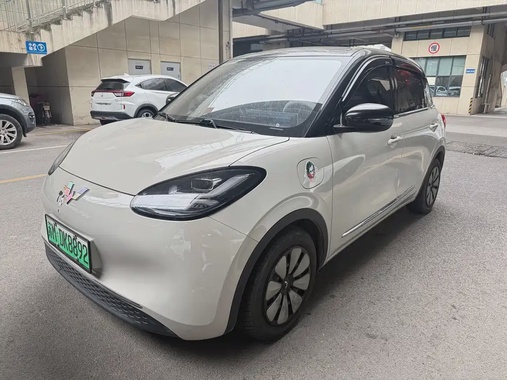 Wuling Bingo 2024