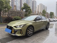 GAC Shadow Leopard 2021