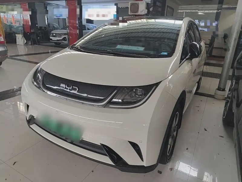 BYD Dolphin