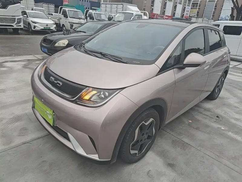 BYD Dolphin