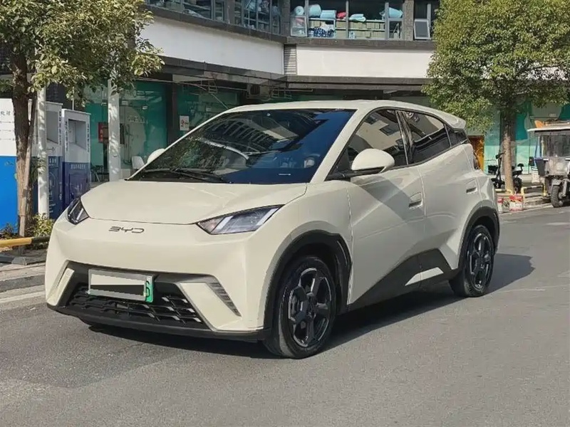 BYD Seagull