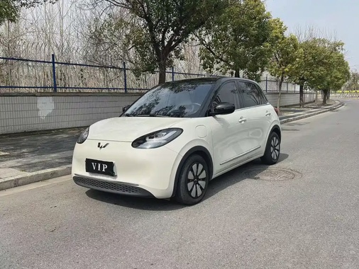 Wuling Bingo 2023