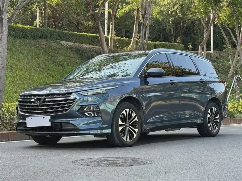 Wuling Victory