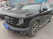 Haval Big Dog 2020