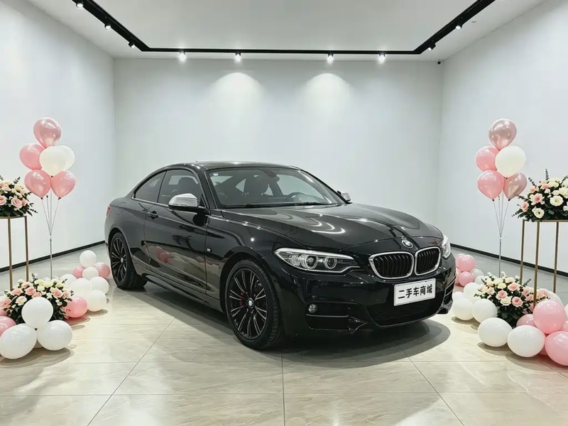 BMW 2 Series