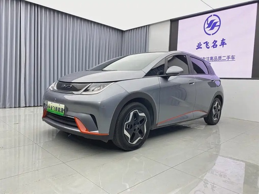 BYD Dolphin 2022