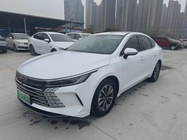 BYD Destroyer 2024
