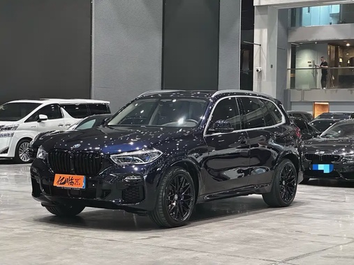 BMW X5 2019