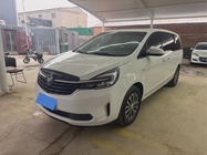 Buick GL8 2021