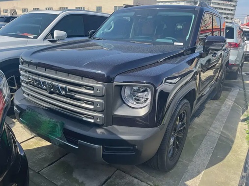 Haval Menglong 2025