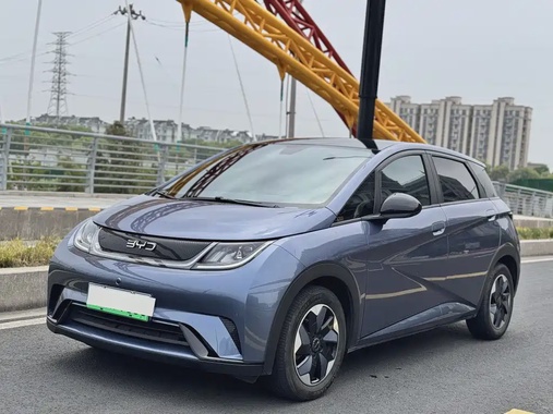 BYD Dolphin 2024