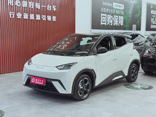 BYD Seagull 2024
