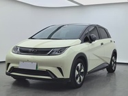 BYD Dolphin 2024