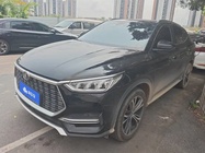 BYD PLUS 2021