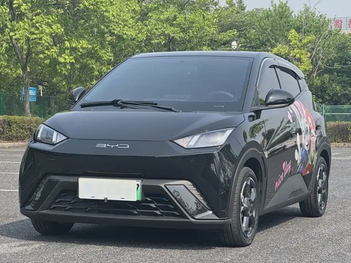 BYD Seagull 2024