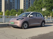 Wuling Bingo 2023